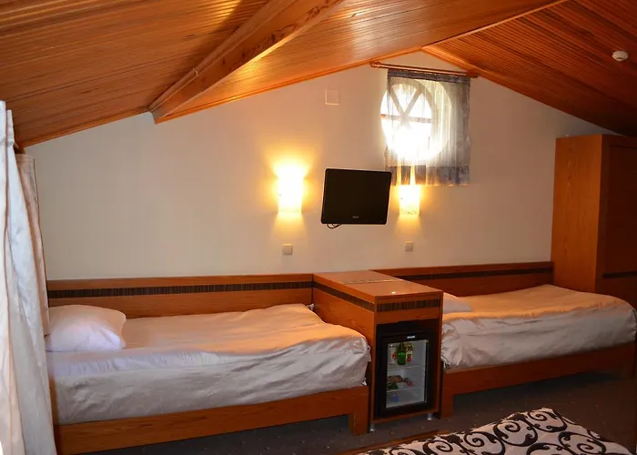 Ξενοδοχείο Atlas Προύσα